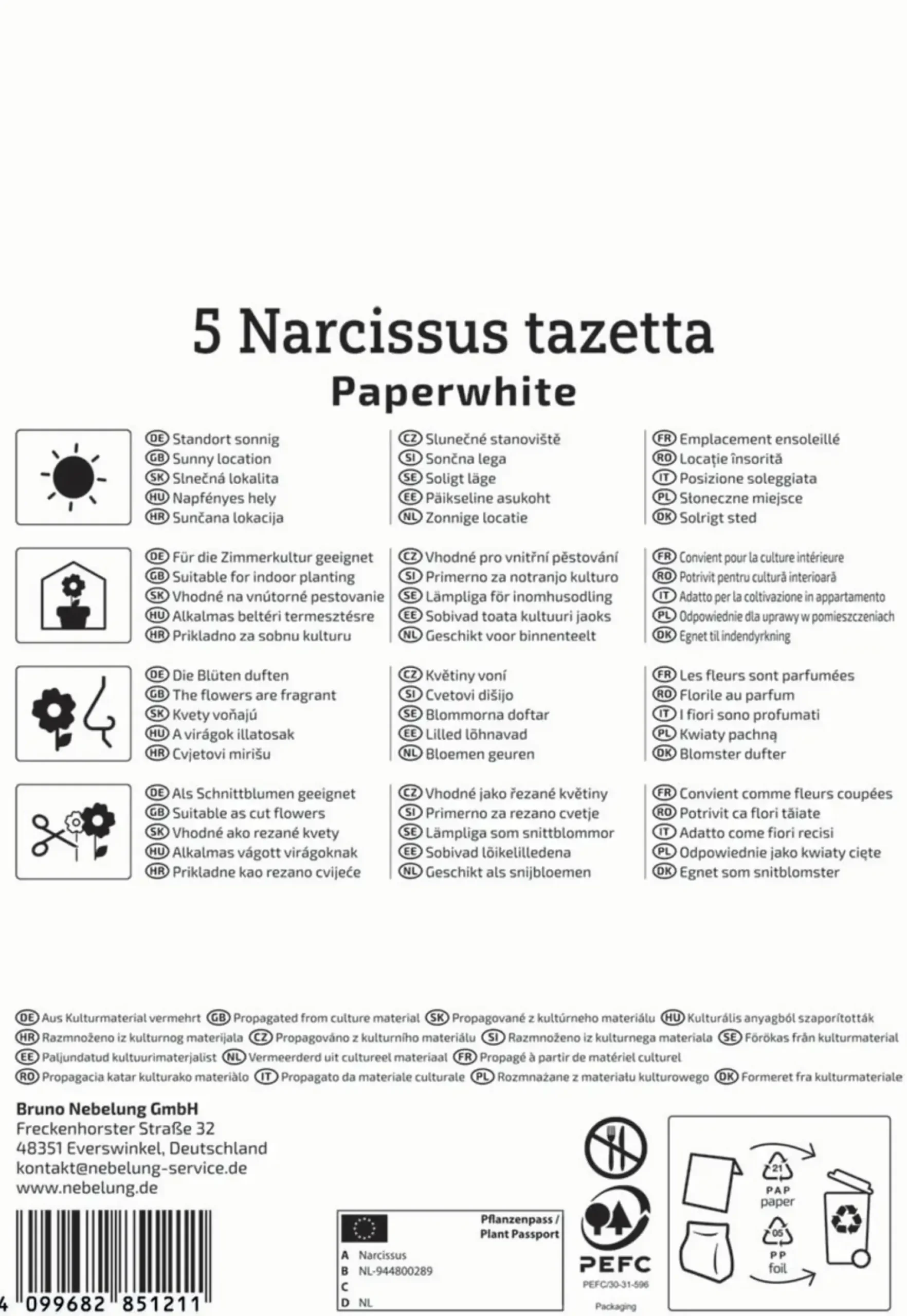 Kiepenkerl Herbstblumenzwiebel Zimmer-Narzisse Paperwhite 5 Pflanzen