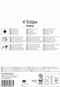 Kiepenkerl Herbstblumenzwiebel Tulpe Fabio 6 Stück