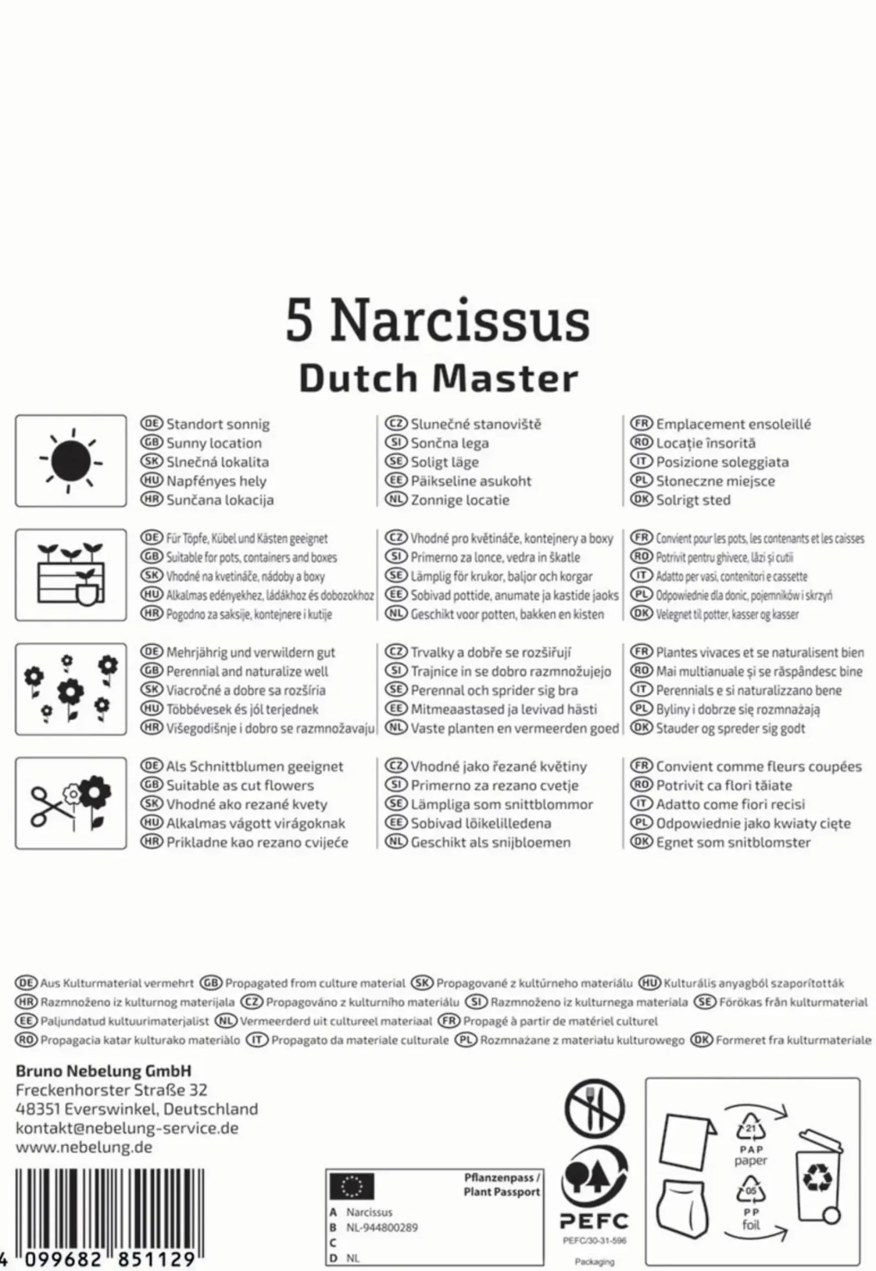 Kiepenkerl Herbstblumenzwiebel Trompeten-Narzisse Dutch Master 5 Stück