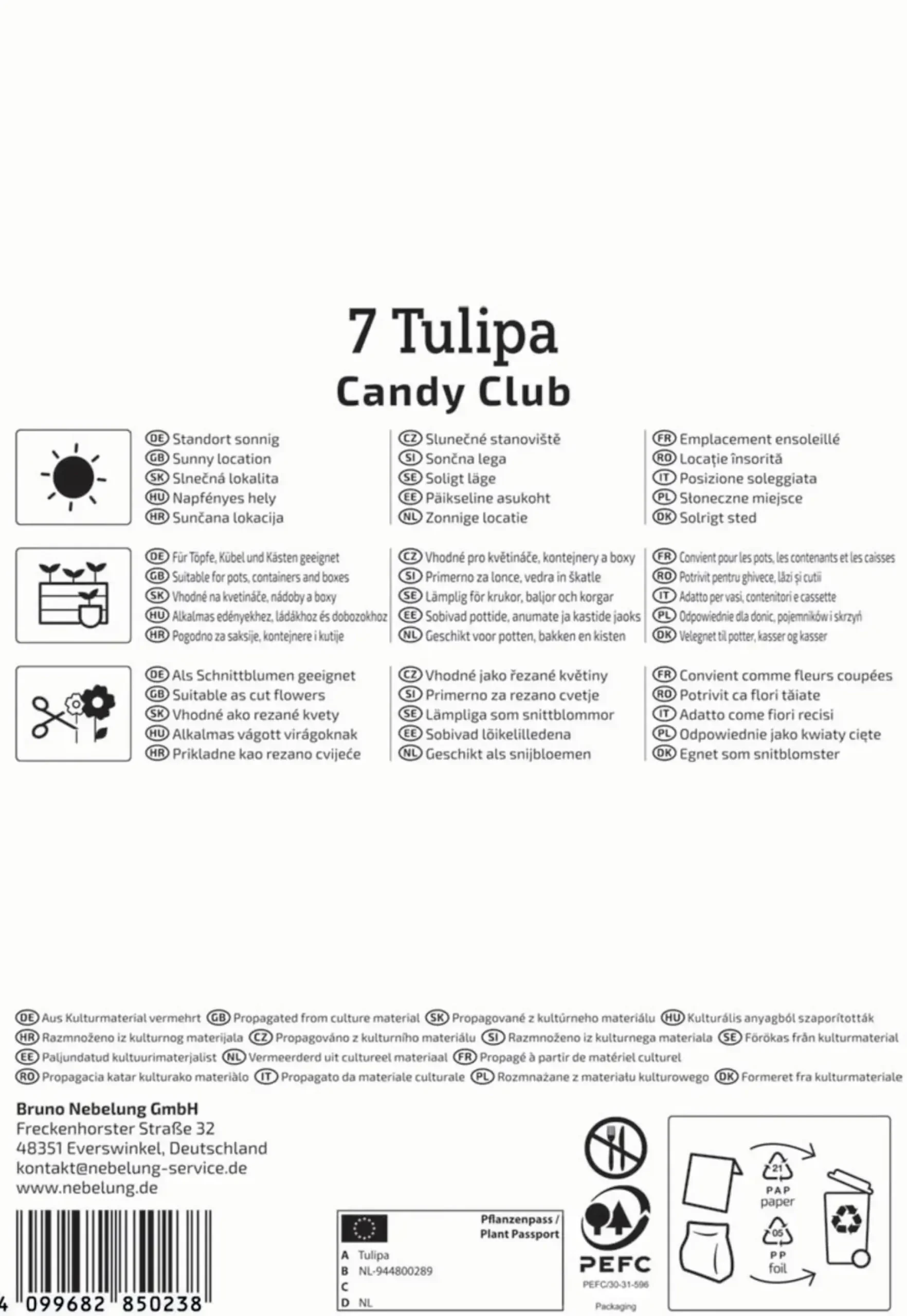 Kiepenkerl Herbstblumenzwiebel Mehrblütige Tulpe Candy Club 7 Stück
