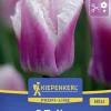 Kiepenkerl Herbstblumenzwiebel Profi-Line Tulpe Siesta 5 Stück