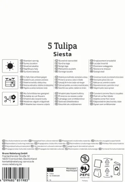 Kiepenkerl Herbstblumenzwiebel Profi-Line Tulpe Siesta 5 Stück