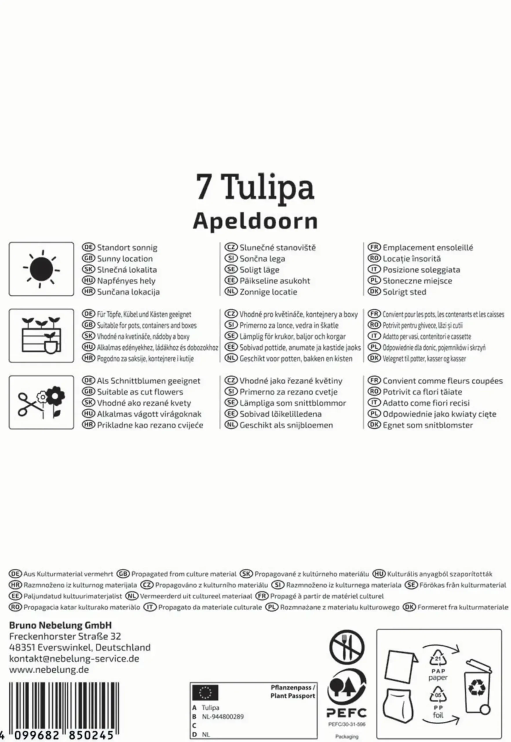 Kiepenkerl Herbstblumenzwiebel Darwin-Hybrid-Tulpe Apeldoorn 7 Pflanzen