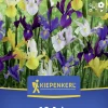 Kiepenkerl Herbstblumenzwiebel Holländische Schwertlilien Mischung 10 Stück