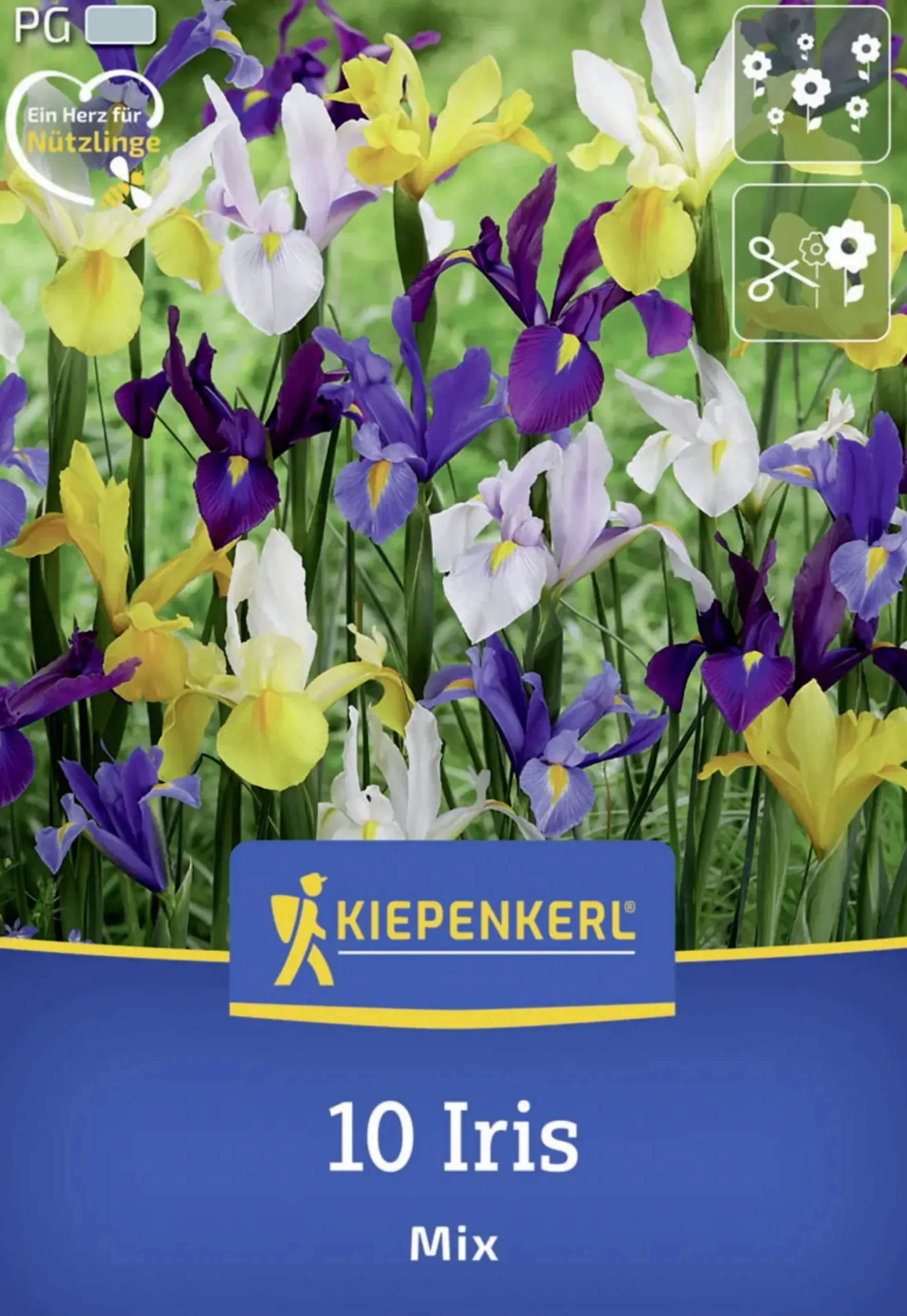 Kiepenkerl Herbstblumenzwiebel Holländische Schwertlilien Mischung 10 Stück