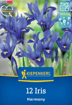 Kiepenkerl Herbstblumenzwiebel Netzblatt-Schwertlilie 12 Pflanzen