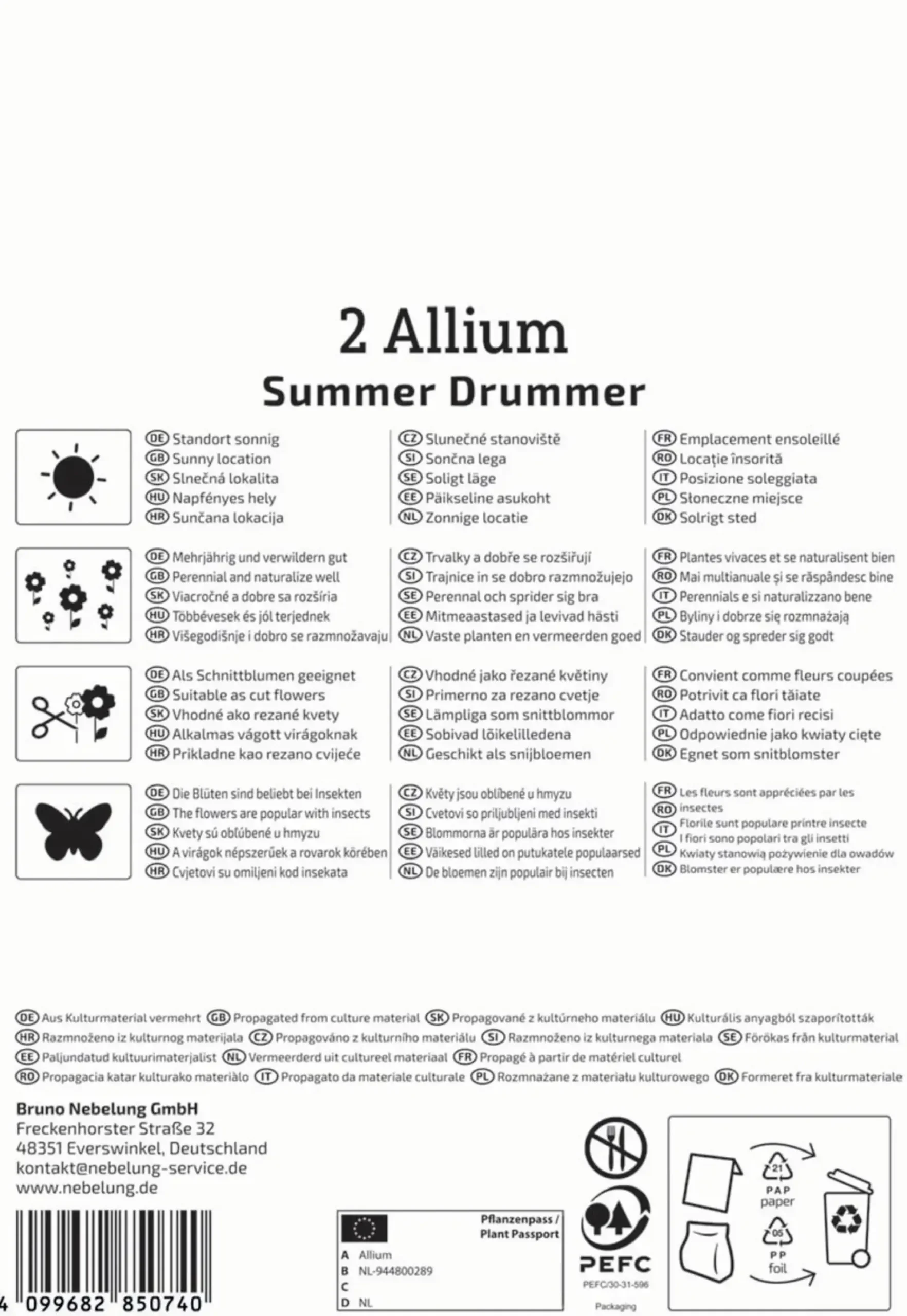 Kiepenkerl Herbstblumenzwiebel Zierlauch Summer Drummer 2 Stück
