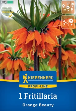 Kiepenkerl Herbstblumenzwiebel Kaiserkrone Orange Beauty 1 Pflanze