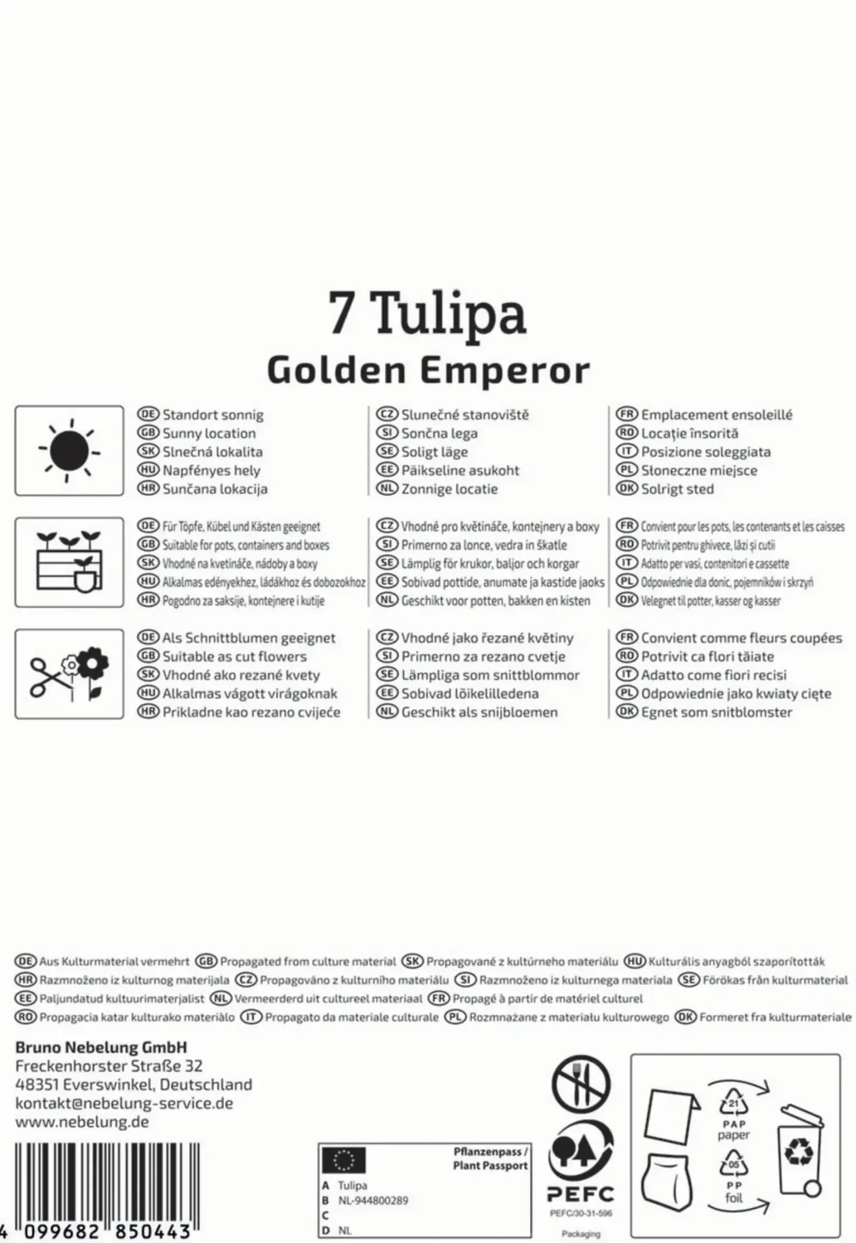 Kiepenkerl Herbstblumenzwiebel Fosteriana-Tulpe Golden Emperor 7 Pflanzen