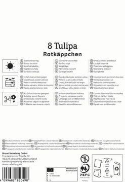 Kiepenkerl Herbstblumenzwiebel Greigii-Tulpe Rotkäppchen 8 Stück