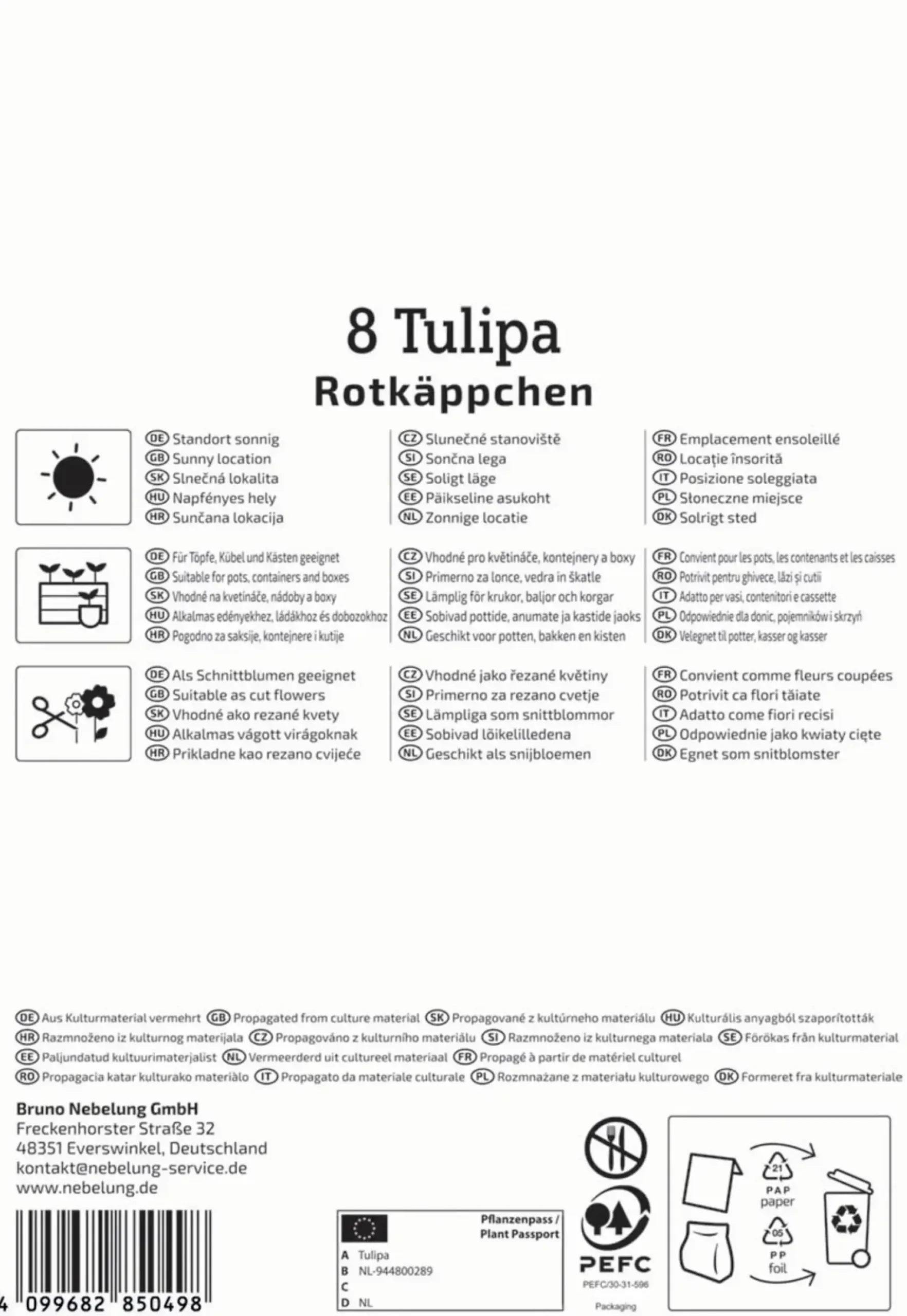 Kiepenkerl Herbstblumenzwiebel Greigii-Tulpe Rotkäppchen 8 Stück