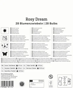 Kiepenkerl Herbstblumenzwiebelmischung Mega-Pack Rosy Dream 28 Stück