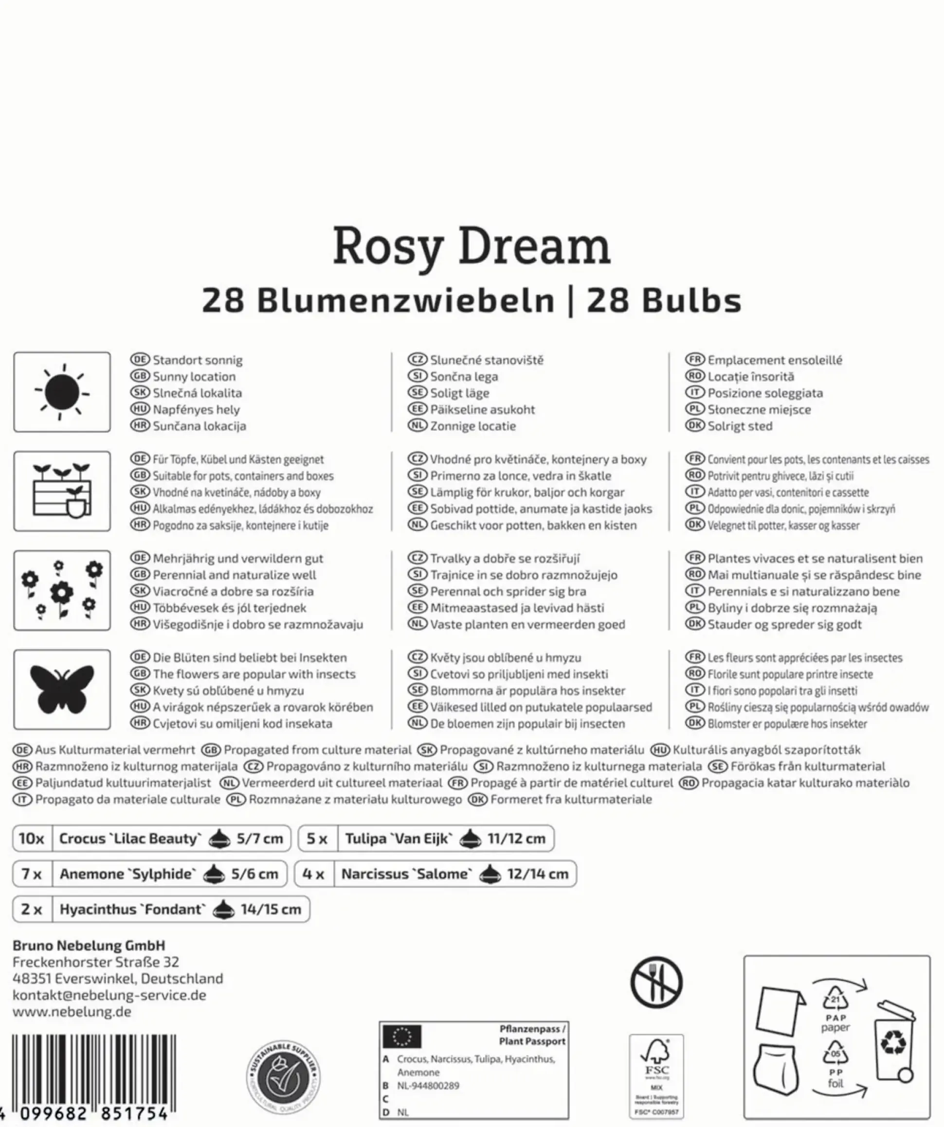 Kiepenkerl Herbstblumenzwiebelmischung Mega-Pack Rosy Dream 28 Stück