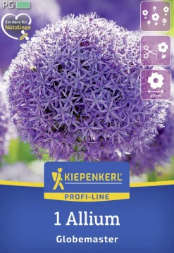 Kiepenkerl Herbstblumenzwiebel Profi-Line Zierlauch Globemaster 1 Stück