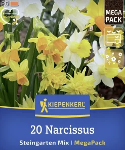 Kiepenkerl Herbstblumenzwiebelmischung Mega-Pack Steingarten-Narzissen 20 Stück