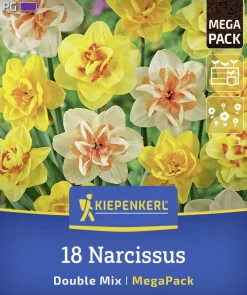 Kiepenkerl Herbstblumenzwiebelmischung Mega-Pack Gefüllte Narzissen 18 Stück