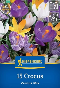 Kiepenkerl Herbstblumenzwiebel Großblumiger Krokus Mischung 15 Stück