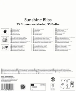 Kiepenkerl Herbstblumenzwiebelmischung Mega-Pack Sunshine Bliss 35 Stück
