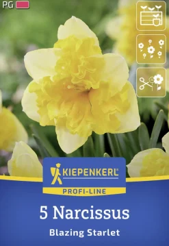 Kiepenkerl Herbstblumenzwiebel Profi-Line Schmetterlings-Narzisse Blazing Starlet 5 Stück
