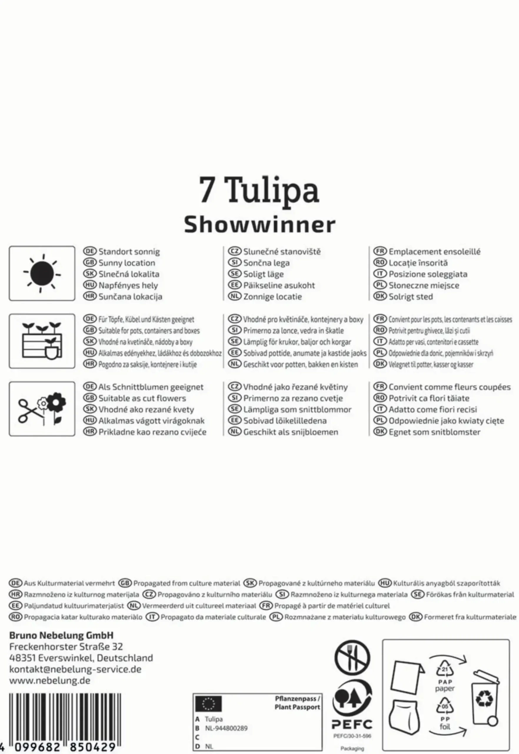 Kiepenkerl Herbstblumenzwiebel Kaufmanniana-Tulpe Showwinner 7 Pflanzen
