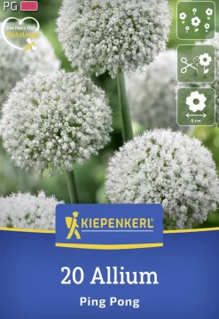 Kiepenkerl Herbstblumenzwiebel Zierlauch Ping Pong 20 Stück