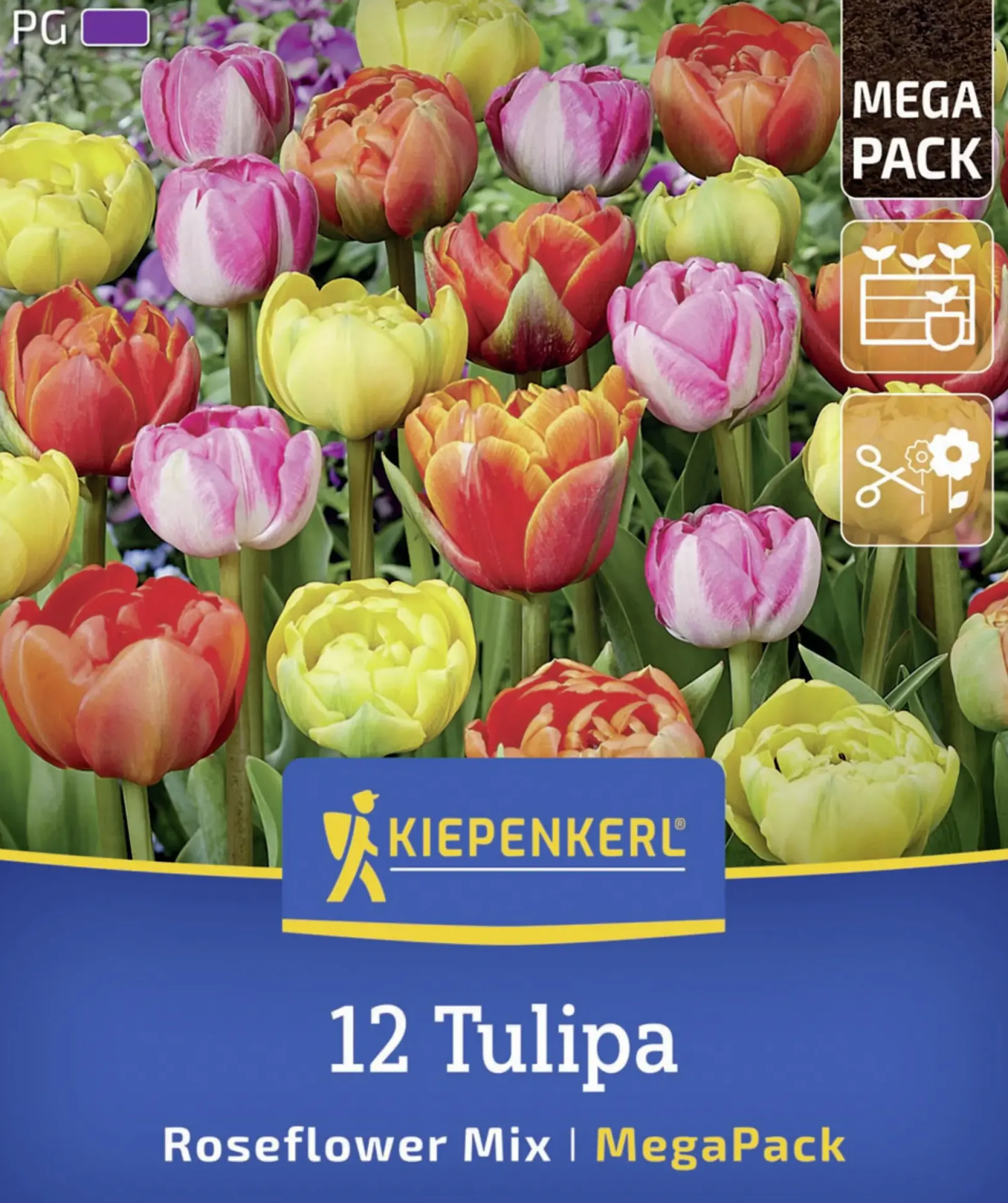 Kiepenkerl Herbstblumenzwiebelmischung Mega-Pack Gefüllte Späte Rosentulpen 12 Stück