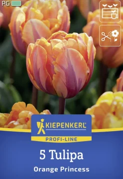 Kiepenkerl Herbstblumenzwiebel Tulpe Orange Princess 5 Stück
