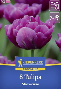 Kiepenkerl Herbstblumenzwiebel Profi-Line Tulpe Showcase 8 Stück