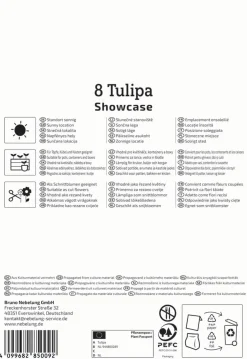 Kiepenkerl Herbstblumenzwiebel Profi-Line Tulpe Showcase 8 Stück