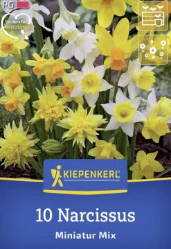 Kiepenkerl Herbstblumenzwiebel Miniatur-Narzissen Mischung 10 Stück