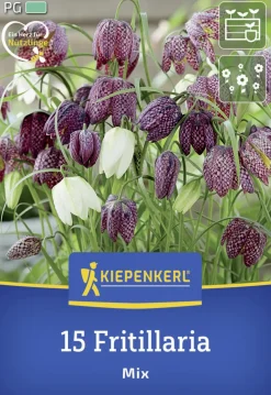 Kiepenkerl Herbstblumenzwiebel Schachbrettblumen Mischung 15 Stück
