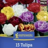 Kiepenkerl Herbstblumenzwiebelmischung Mega-Pack Gefüllte Tulpen 15 Stück