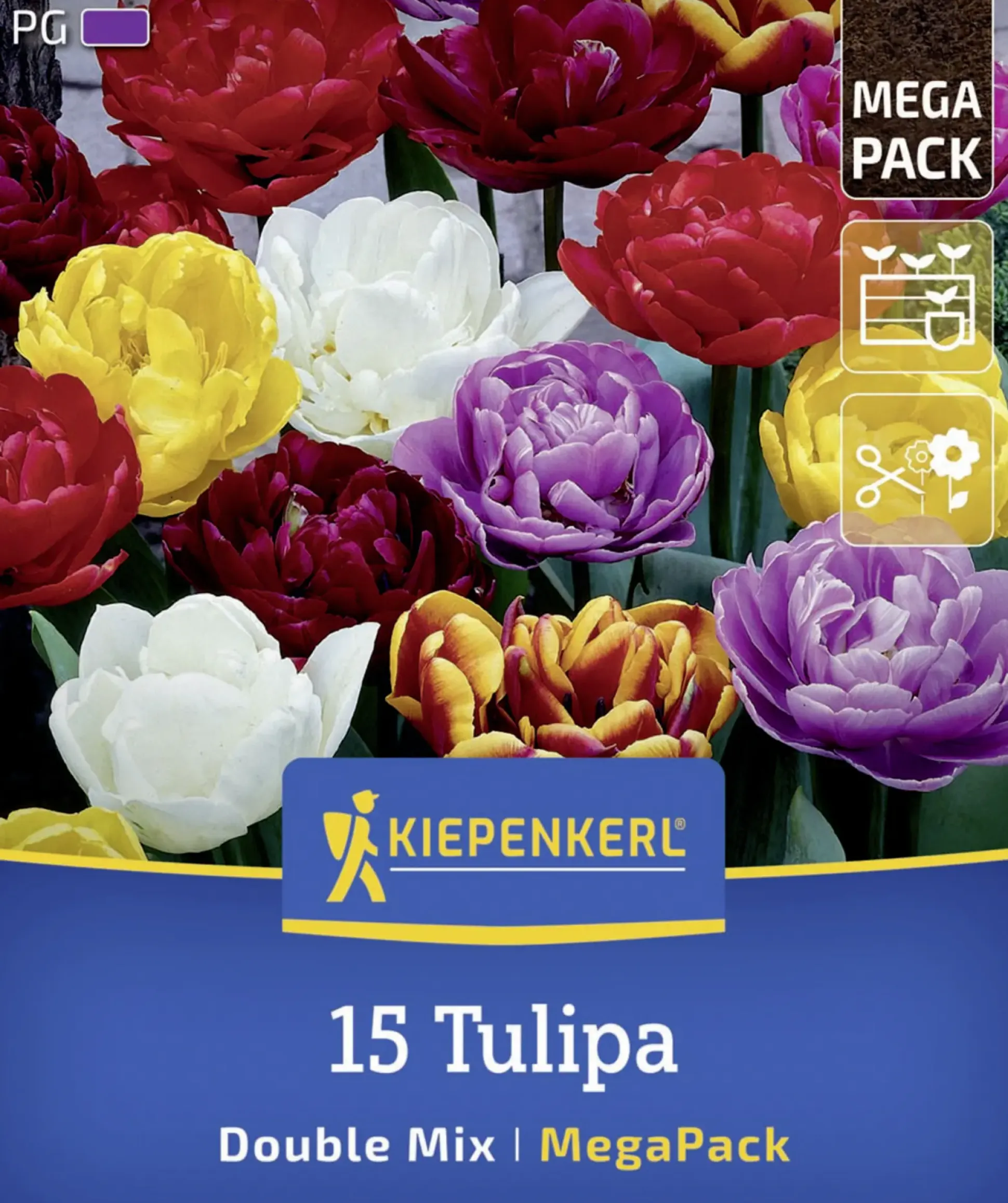 Kiepenkerl Herbstblumenzwiebelmischung Mega-Pack Gefüllte Tulpen 15 Stück