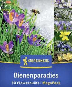 Kiepenkerl Herbstblumenzwiebelmischung Mega-Pack Bienenparadies 50 Stück