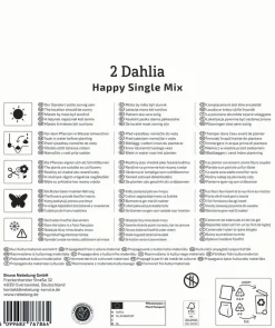 Kiepenkerl Mega-Pack Frühjahrsblumenzwiebel Dunkellaubige Dahlien Happy Single Mix 2 Stück