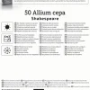 Kiepenkerl Pflanzgut Bio Wintersteckzwiebel Shakespeare 50 Stück