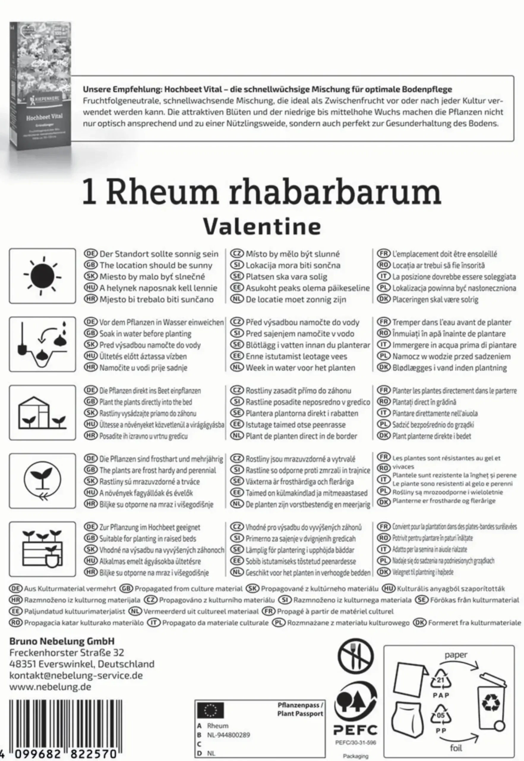 Kiepenkerl Pflanzgut Rhabarber Valentine Rheum rhabarbarum 1 Stück