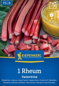 Kiepenkerl Pflanzgut Rhabarber Valentine Rheum rhabarbarum 1 Stück