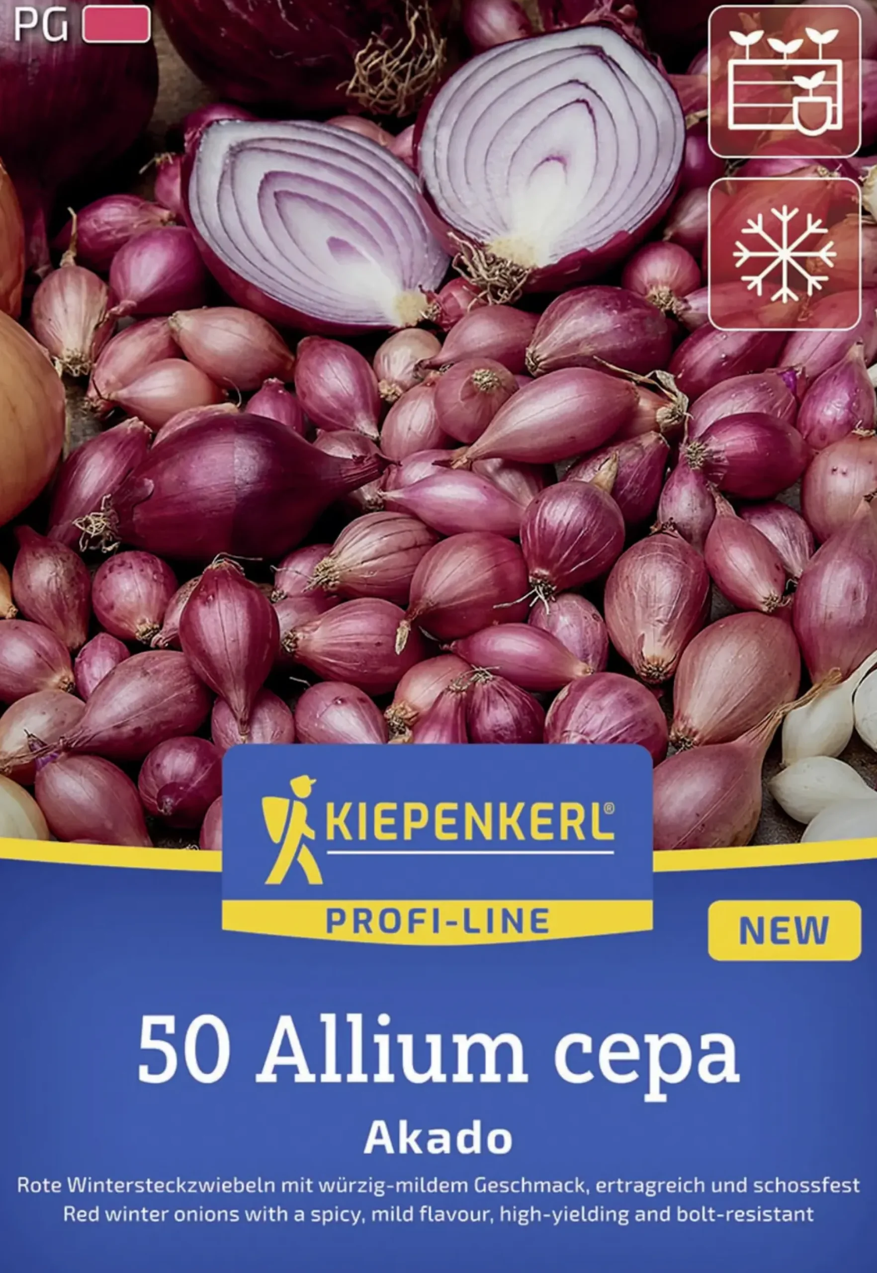 Kiepenkerl Pflanzgut Rote Wintersteckzwiebel Akado 50 Stück