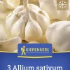 Kiepenkerl Pflanzgut Winterknoblauch Messidrome 3 Stück
