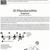 Kiepenkerl Pflanzkartoffel Sieglinde 20 Stück