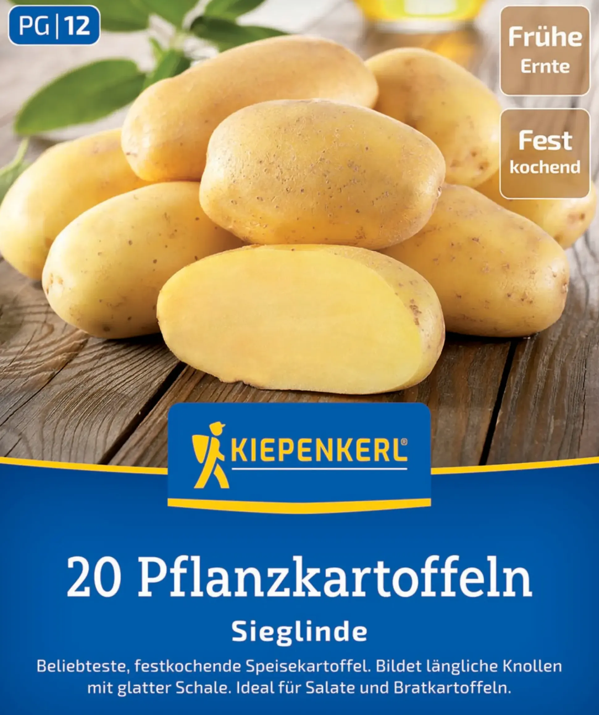 Kiepenkerl Pflanzkartoffel Sieglinde 20 Stück