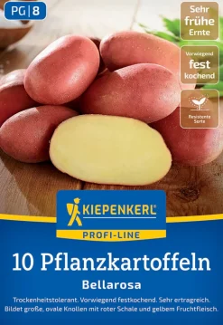 Kiepenkerl Pflanzkartoffel Bellarosa 10 Stück