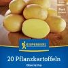 Kiepenkerl Pflanzkartoffel Glorietta 20 Stück