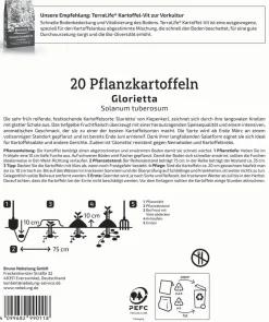 Kiepenkerl Pflanzkartoffel Glorietta 20 Stück