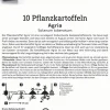 Kiepenkerl Pflanzkartoffel Agria 10 Stück