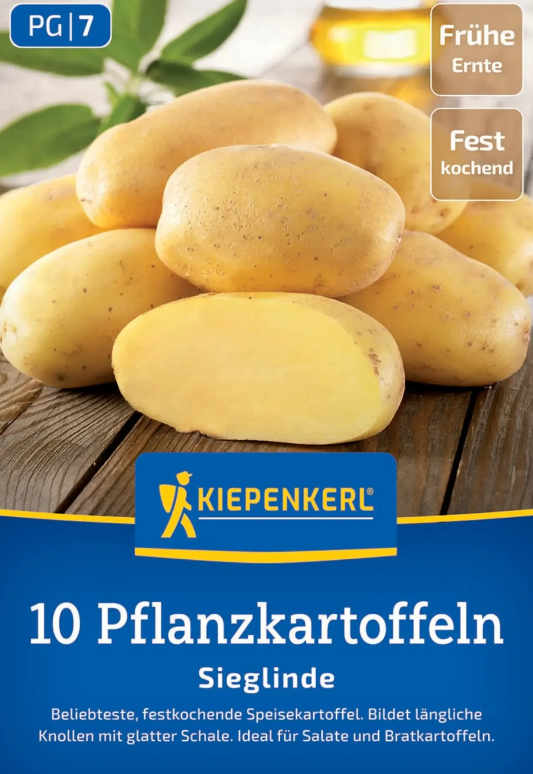 Kiepenkerl Pflanzkartoffel Sieglinde 10 Stück
