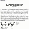 Kiepenkerl Pflanzkartoffel Laura 10 Stück