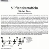 Kiepenkerl Pflanzkartoffel Violet Star 5 Stück