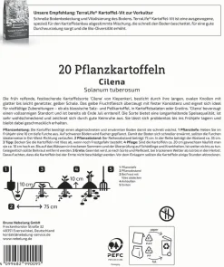 Kiepenkerl Pflanzkartoffel Cilena 20 Stück